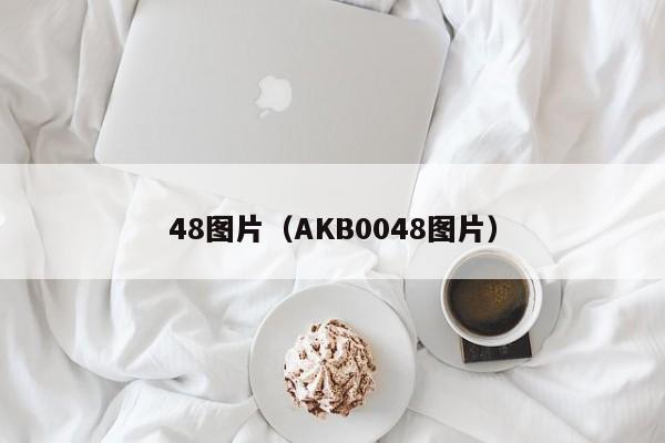 48图片（AKB0048图片）