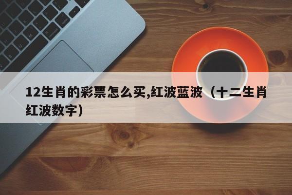 12生肖的彩票怎么买,红波蓝波（十二生肖红波数字）
