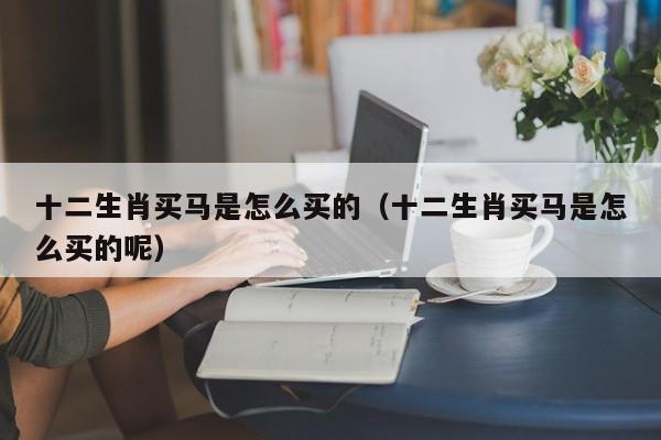 十二生肖买马是怎么买的（十二生肖买马是怎么买的呢）